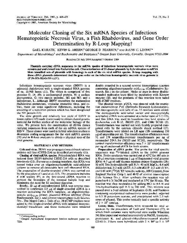 (PDF) Molecular cloning of the six mRNA species of infectious ...