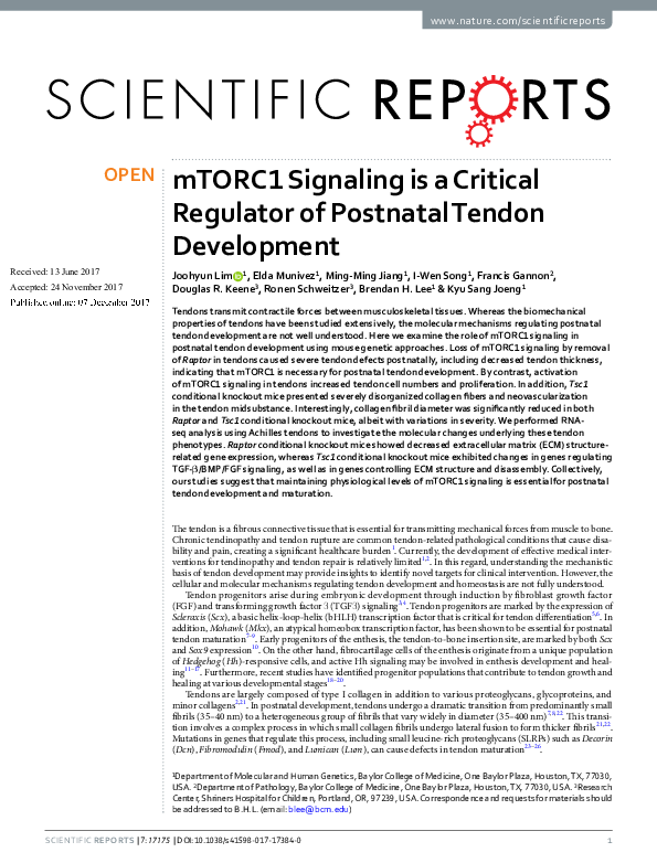 (PDF) mTORC1 Signaling is a Critical Regulator of Postnatal Tendon ...