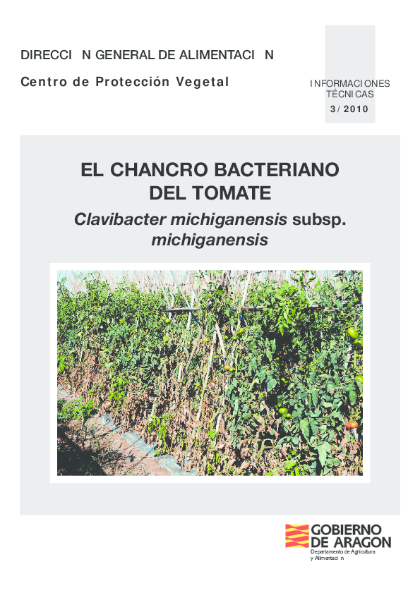 (PDF) El chancro bacteriano del tomate: Clavibacter michiganensis subsp ...