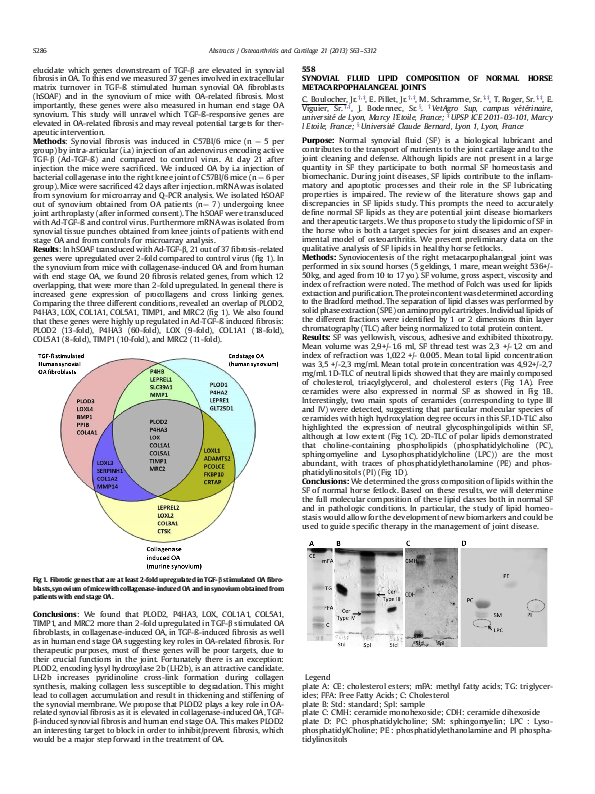 (PDF) Synovial fluid lipid composition of normal horse ...