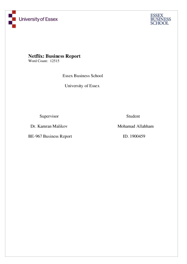Netflix introduction essay image