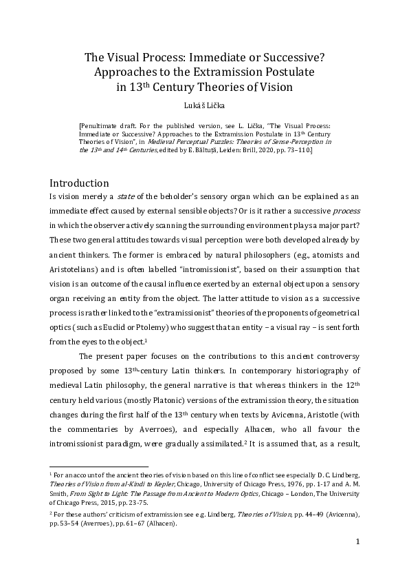 (PDF) The Visual Process: Immediate or Successive? Approaches to the ...