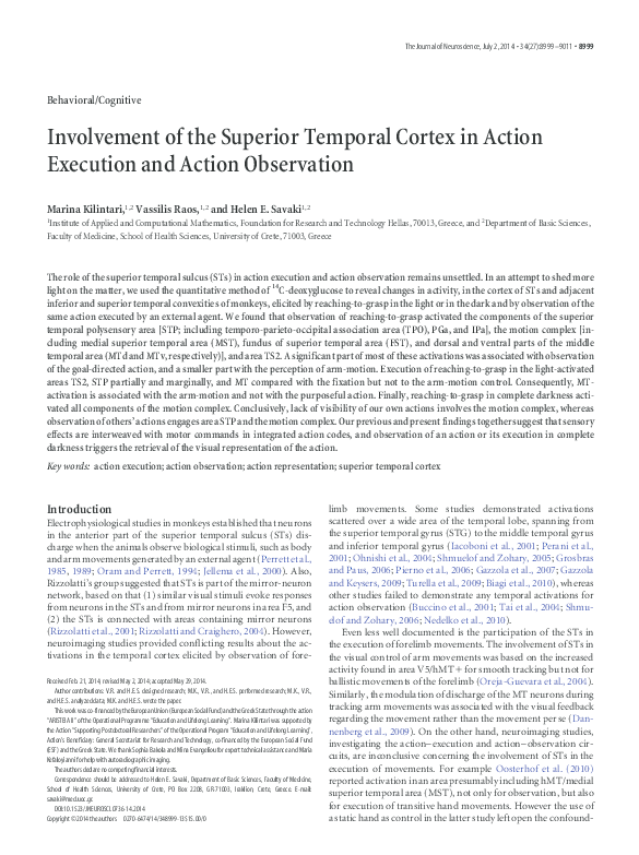 (PDF) Involvement of the Superior Temporal Cortex in Action Execution ...