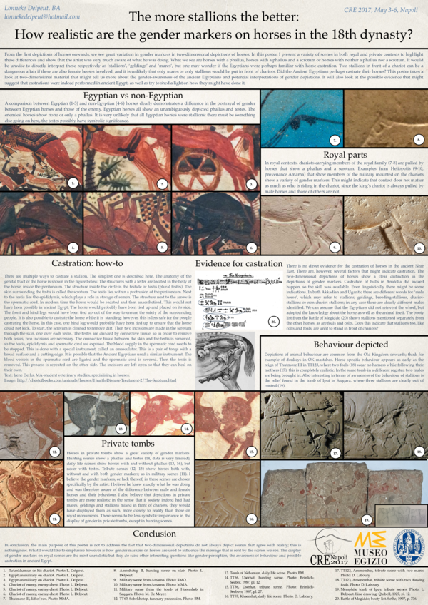 (PDF) The more stallions the better: To what extent are depictions of ...