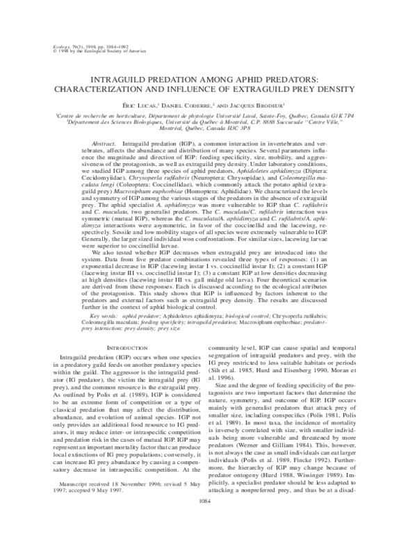 (PDF) Intraguild Predation among Aphid Predators: Characterization and ...