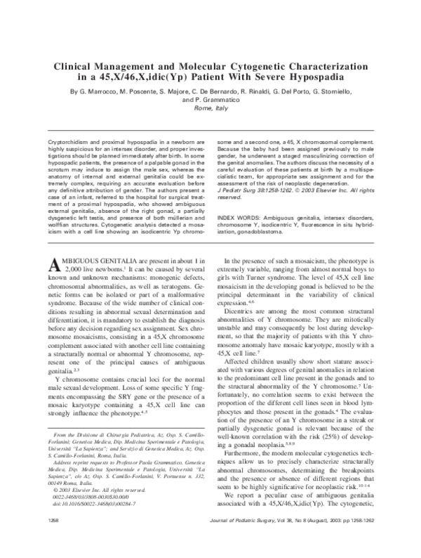 Pdf Clinical Management And Molecular Cytogenetic Characterization In A 45 X 46 X Idic Yp Patient With Severe Hypospadia Silvia Majore Academia Edu