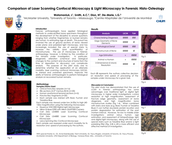 (PDF) Comparison of Laser Scanning Confocal Microscopy & Light ...