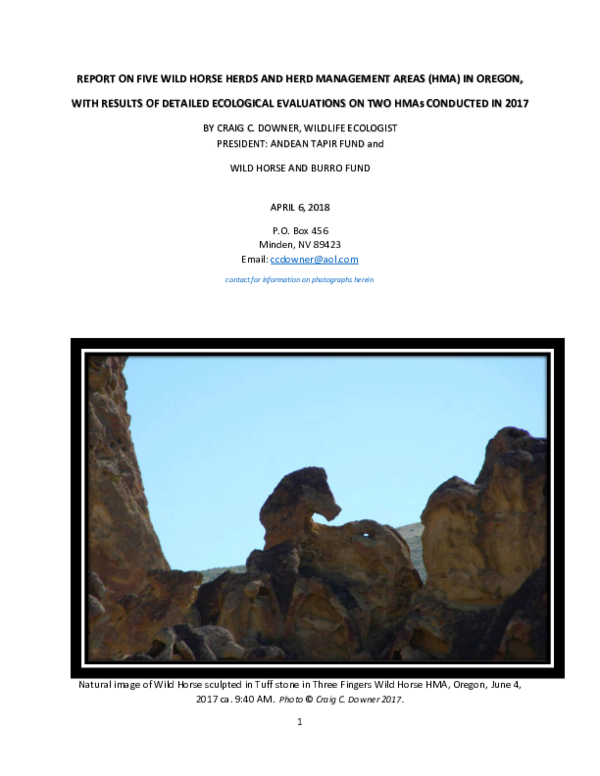sa PDF) REPORT ON FIVE WILD HORSE HERDS AND HERD MANAGEMENT