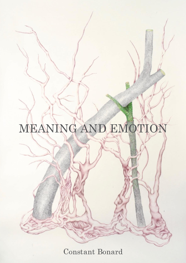 Pdf Meaning And Emotion Phd Dissertation Constant Bonard Academia Edu