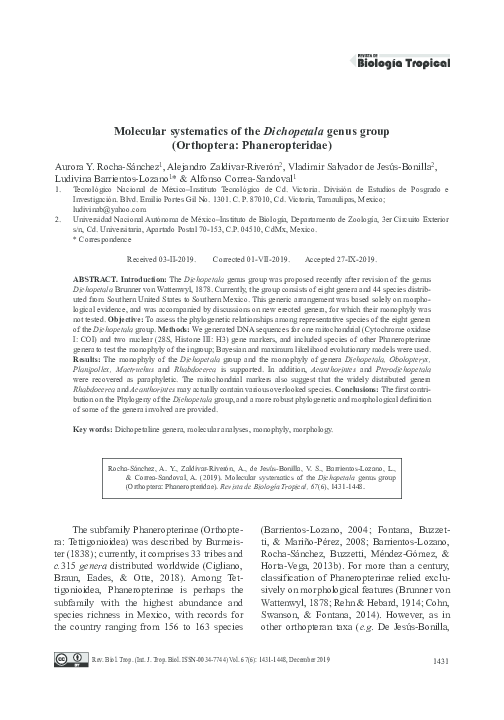 (PDF) Molecular systematics of the Dichopetala genus group (Orthoptera ...