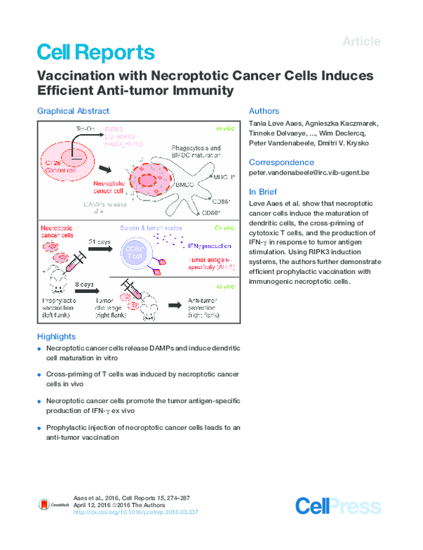 (PDF) Vaccination with Necroptotic Cancer Cells Induces Efficient Anti ...
