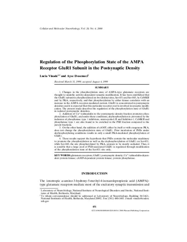 (PDF) Regulation of the Phosphorylation State of the AMPA Receptor ...