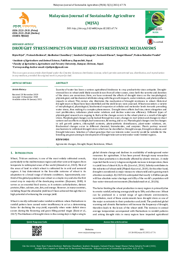 (PDF) Drought Stress Impacts on Wheat And Its Resistance Mechanisms