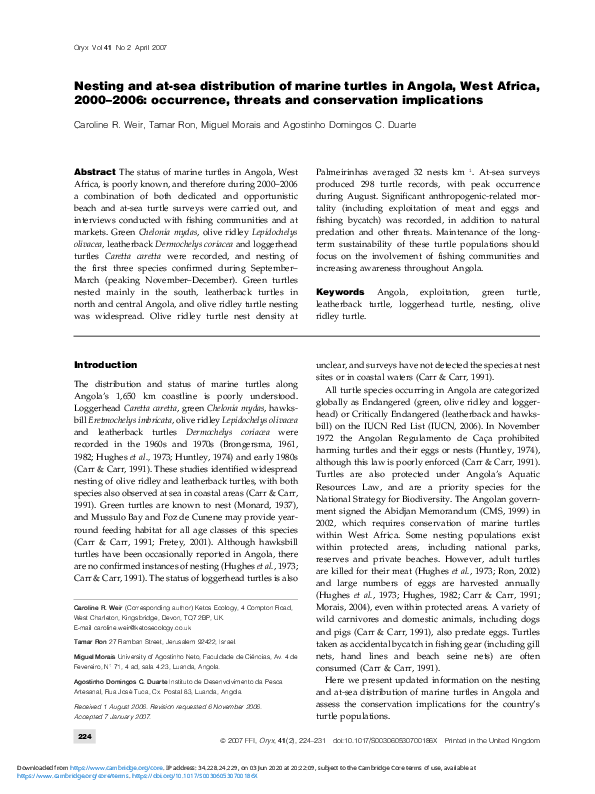 (PDF) Nesting and at-sea distribution of marine turtles in Angola, West ...
