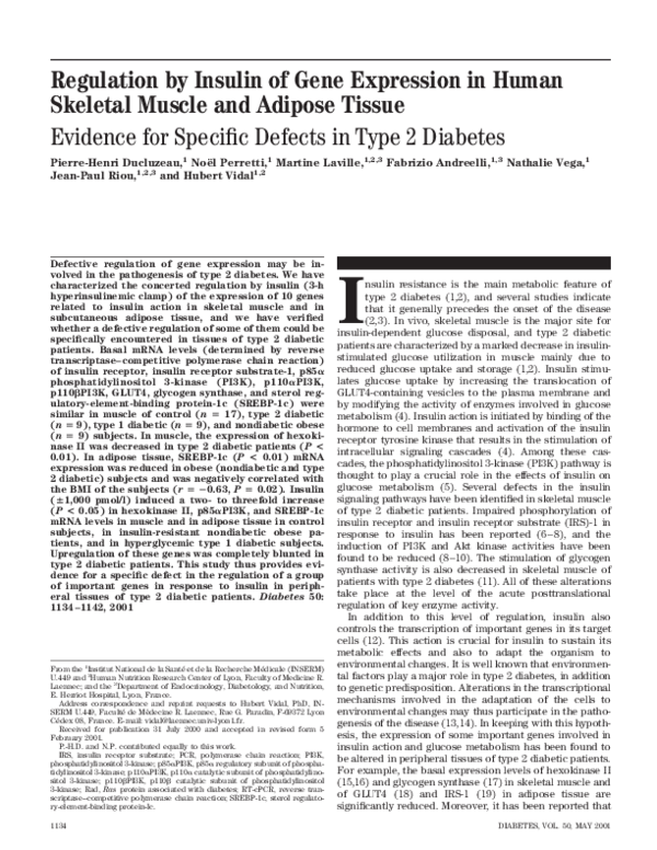 (PDF) Regulation by Insulin of Gene Expression in Human Skeletal Muscle ...