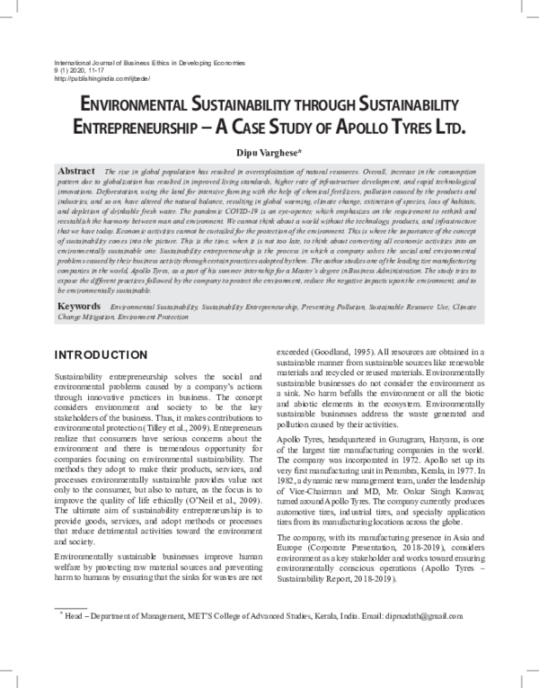 Sustainable entrepreneur image