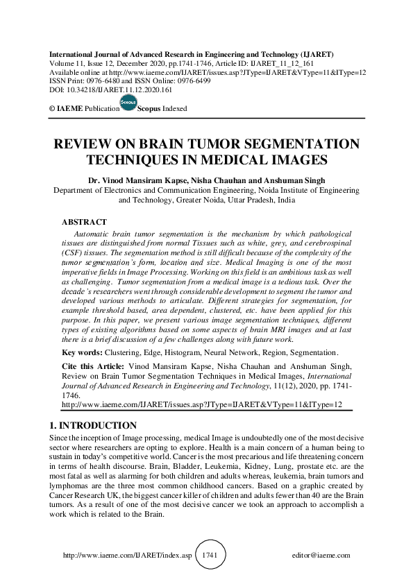(PDF) REVIEW ON BRAIN TUMOR SEGMENTATION TECHNIQUES IN MEDICAL IMAGES