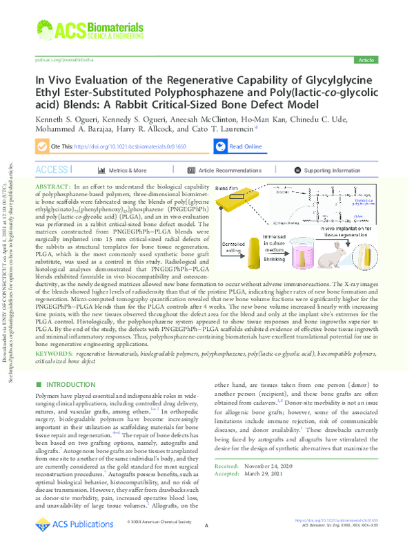 (PDF) In Vivo Evaluation of the Regenerative Capability of ...