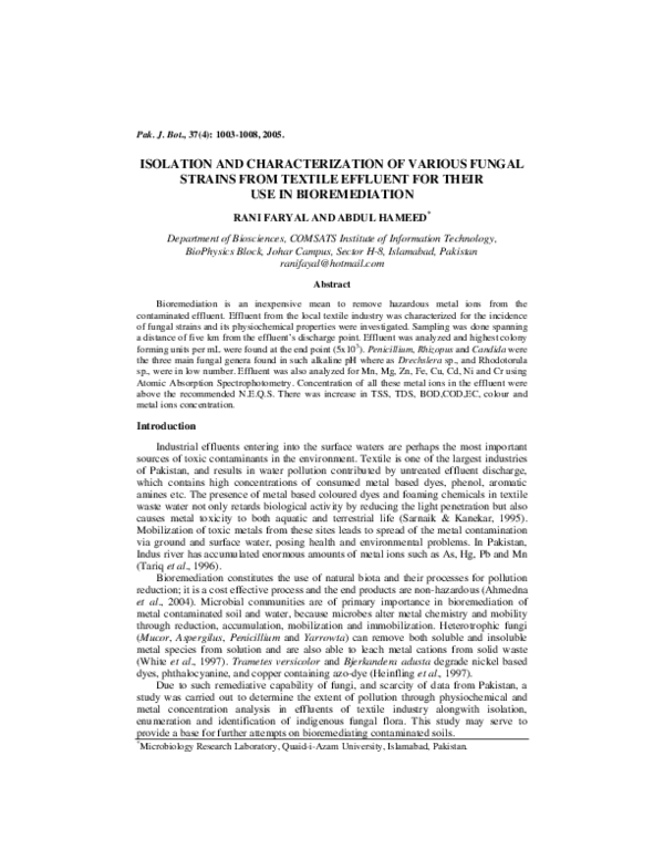(PDF) Isolation and Characterization of Various Fungal Strains from ...