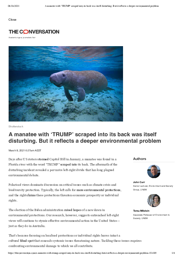 The manatee essay 06 picture