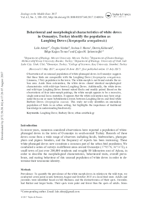 (PDF) Behavioural and morphological characteristics of white doves in ...