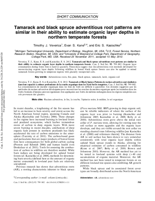 (PDF) Tamarack and black spruce adventitious root patterns are similar ...