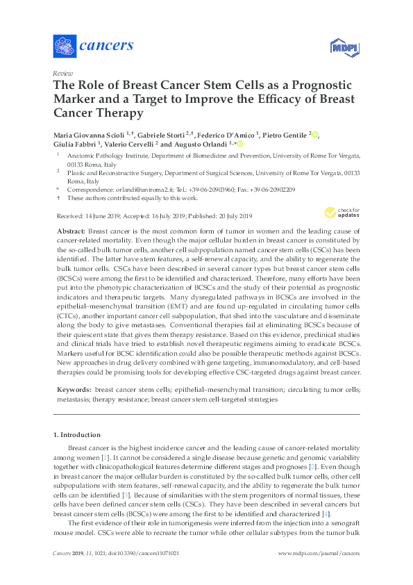 (PDF) The Role of Breast Cancer Stem Cells as a Prognostic Marker and a ...