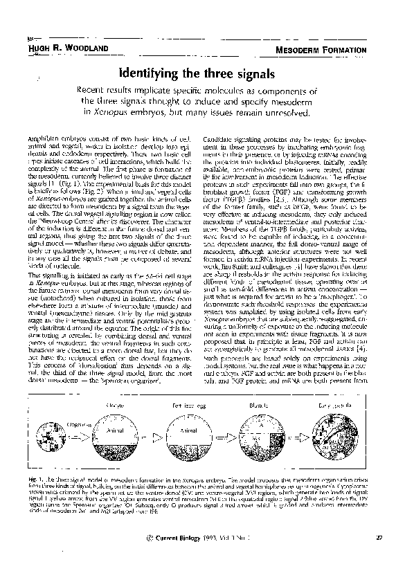 Identifying the three signals