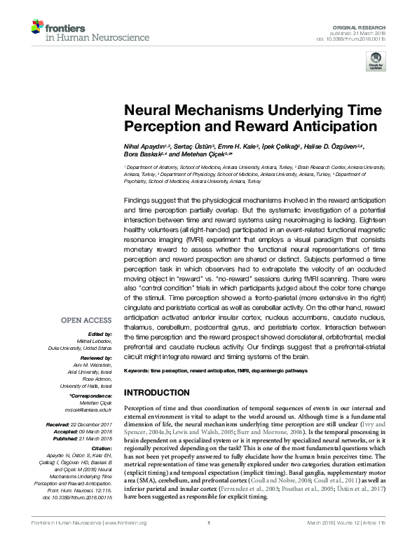 (PDF) Neural Mechanisms Underlying Time Perception and Reward Anticipation