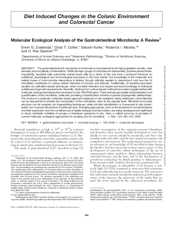 (PDF) Molecular ecological analysis of the gastrointestinal microbiota ...