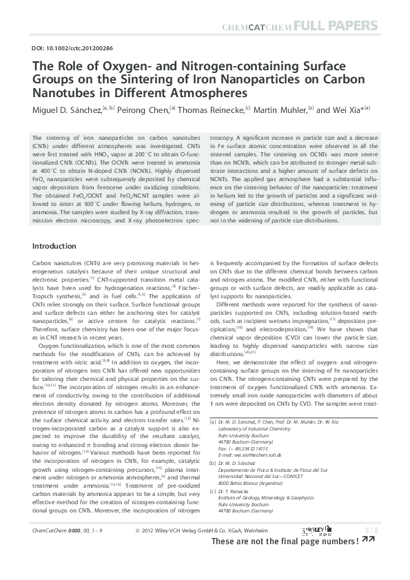 (PDF) The Role of Oxygen- and Nitrogen-containing Surface Groups on the ...