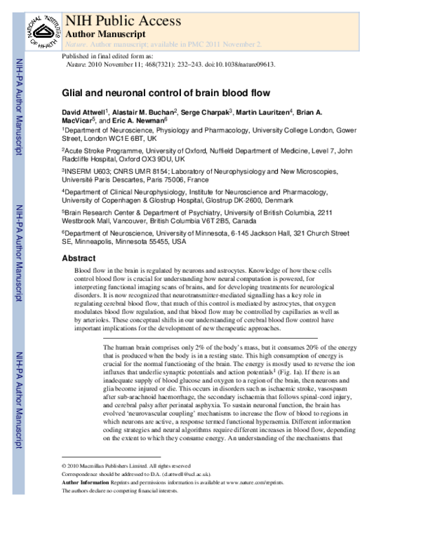 (PDF) Glial and neuronal control of brain blood flow