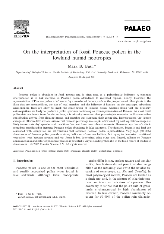 (PDF) On the interpretation of fossil Poaceae pollen in the lowland ...