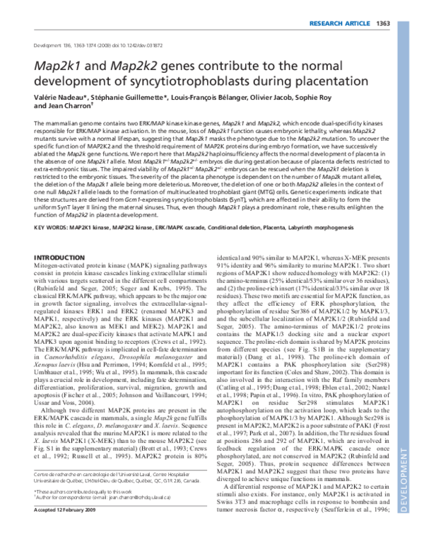 (PDF) Map2k1 and Map2k2 genes contribute to the normal development of ...