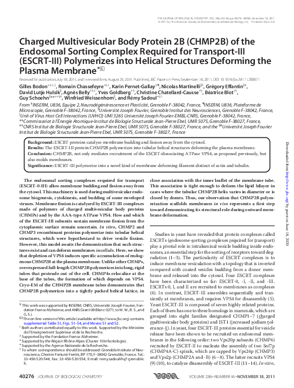 (PDF) Charged Multivesicular Body Protein 2B (CHMP2B) of the Endosomal ...