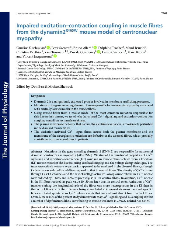 (PDF) Impaired excitationcontraction coupling in muscle fibres from