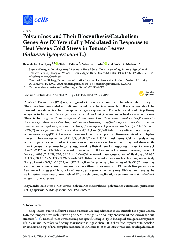 Polyamines and Their Biosynthesis/Catabolism Genes Are Differentially Modulated in Response to Heat Versus Cold Stress in Tomato Leaves (Solanum lycopersicum L.)