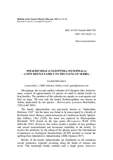 (PDF) Sphaeriusidae (Coleoptera, Myxophaga): A new beetle family to the ...