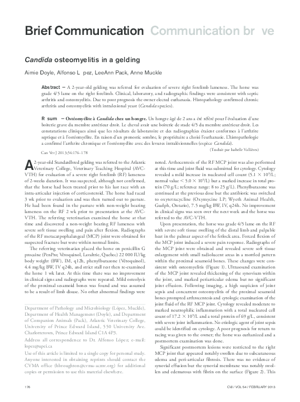 (PDF) Candida osteomyelitis in a gelding Anne Muckle Academia.edu