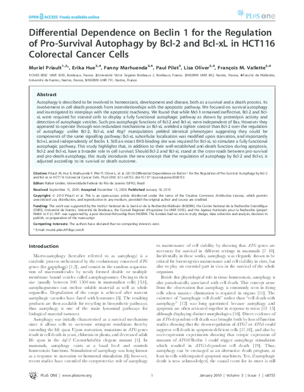 (PDF) Differential Dependence on Beclin 1 for the Regulation of Pro ...