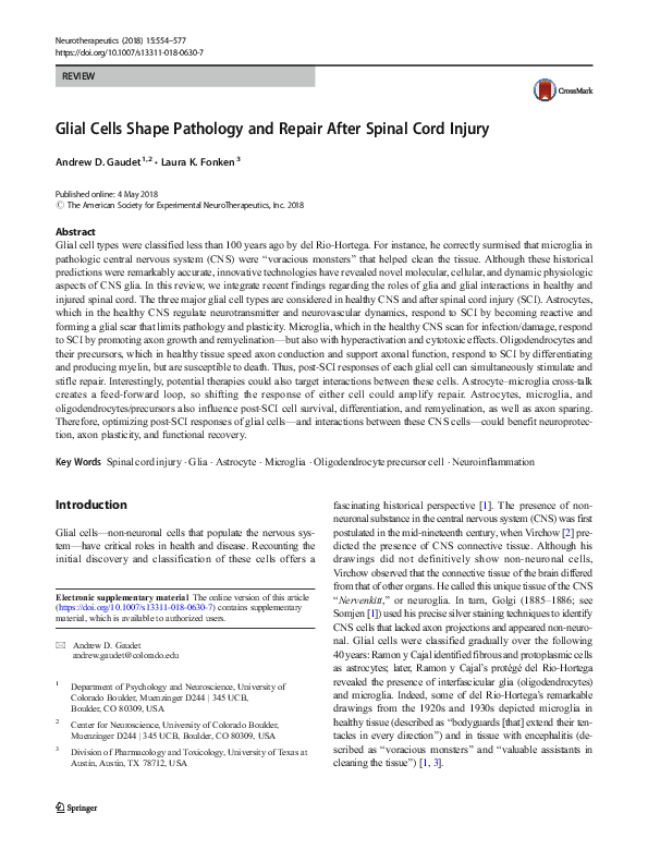 (PDF) Glial Cells Shape Pathology and Repair After Spinal Cord Injury