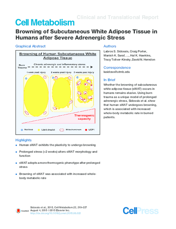 (PDF) Browning of subcutaneous white adipose tissue in humans after ...
