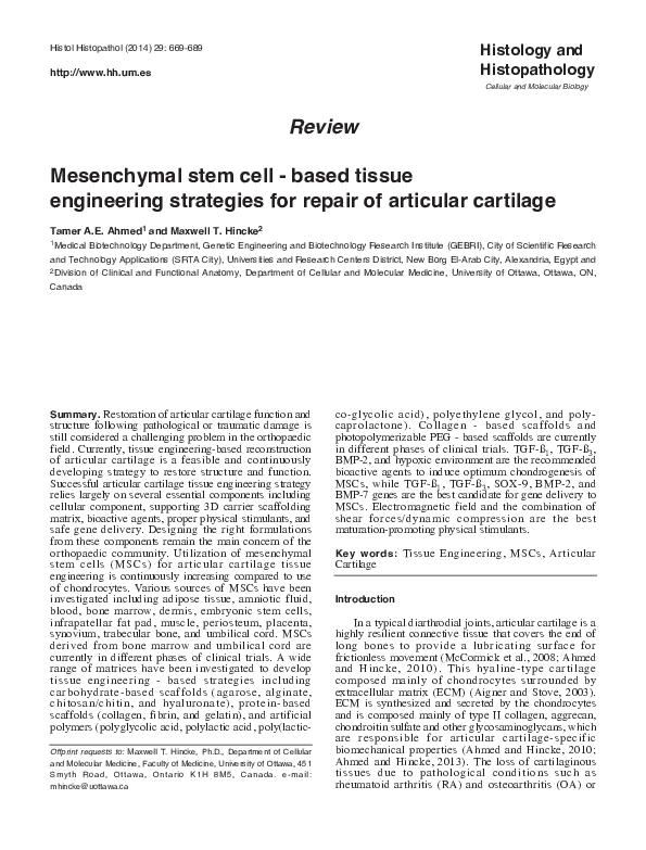 (PDF) Mesenchymal stem cell-based tissue engineering strategies for ...