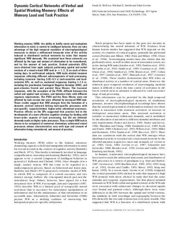 (PDF) Dynamic cortical networks of verbal and spatial working memory ...