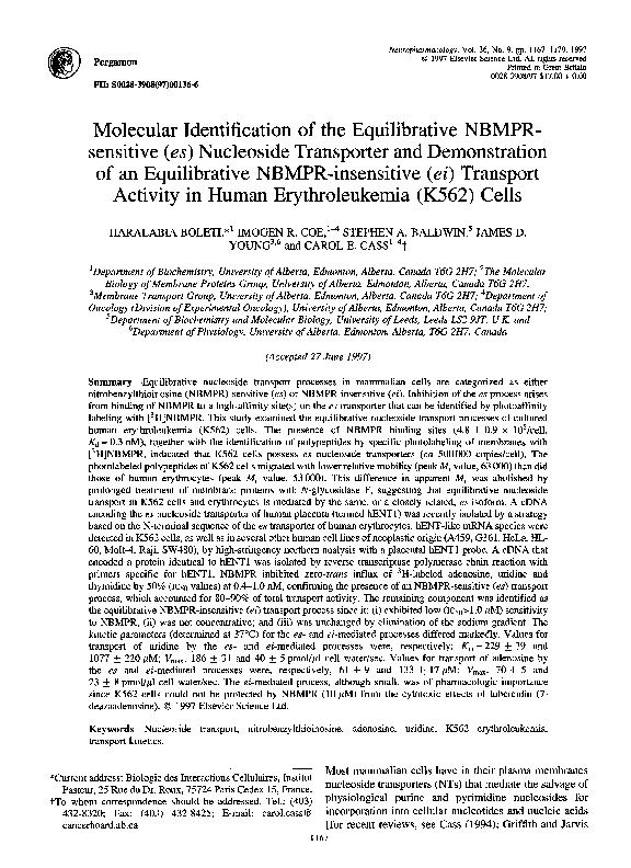 (PDF) Molecular identification of the equilibrative NBMPR-sensitive ...