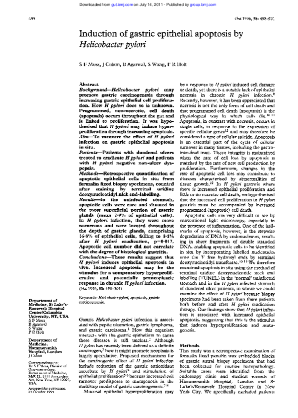 (PDF) Induction of gastric epithelial apoptosis by Helicobacter pylori