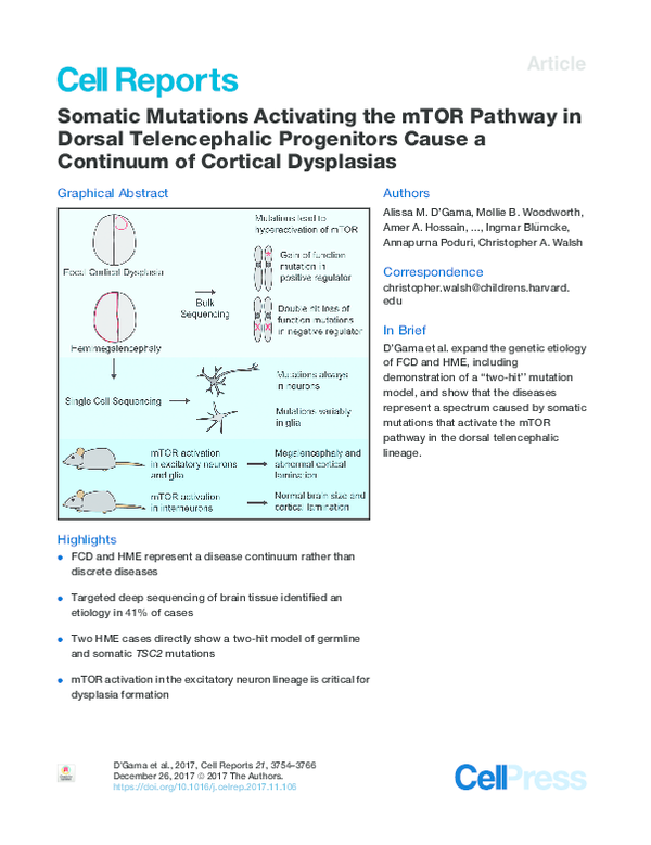 (PDF) mTOR mutations in Smith-Kingsmore syndrome: four additional ...