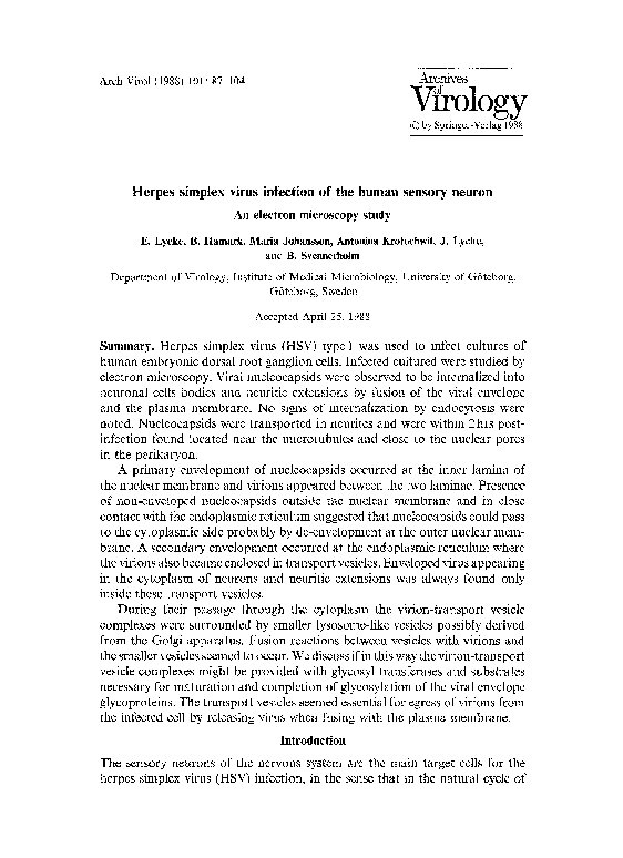 (PDF) Herpes simplex virus infection of the human sensory neuron