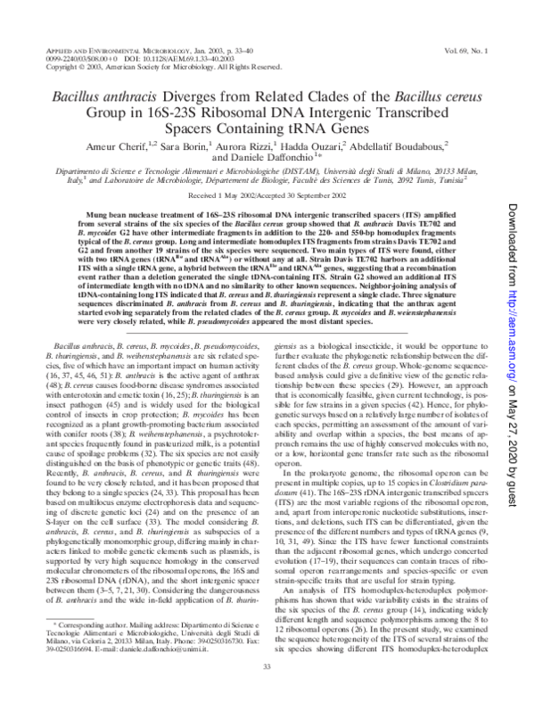 Where can bacillus anthracis be found picture
