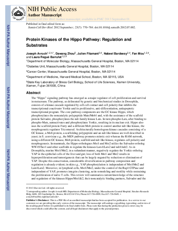 (PDF) Protein kinases of the Hippo pathway Regulation and substrates